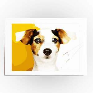 Peinture par numéros 35x50-Cadre DIY - €  33.48
